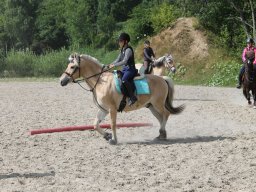 2013 Ridelejr